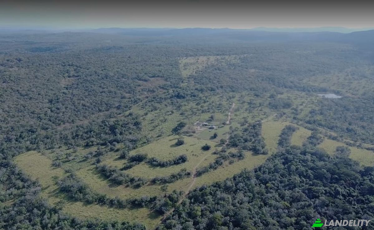 Investing/Development for Sale Via Sin Nombre, Guarayos, Nuflo de Chavez, Santa Cruz Department, Bolivia. Photo 4