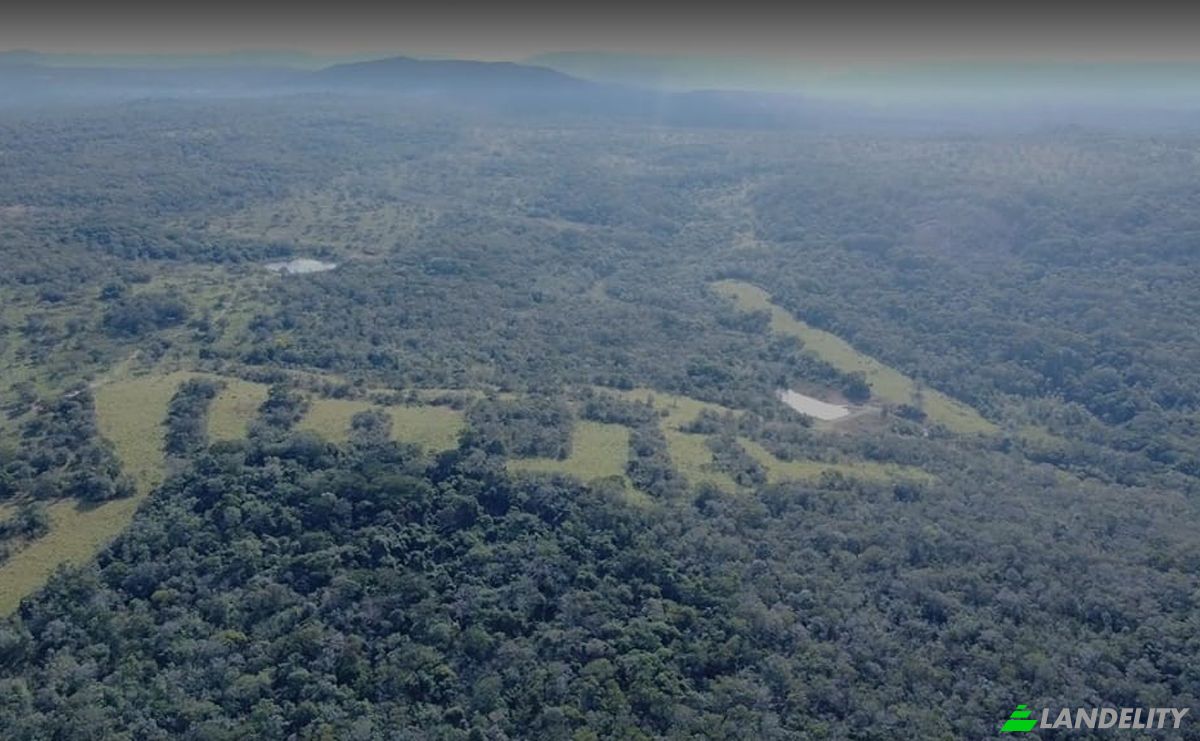 Investing/Development for Sale Via Sin Nombre, Guarayos, Nuflo de Chavez, Santa Cruz Department, Bolivia. Photo 5
