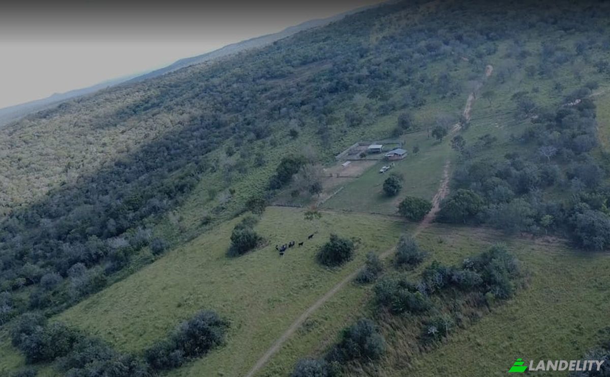Investing/Development for Sale Via Sin Nombre, Guarayos, Nuflo de Chavez, Santa Cruz Department, Bolivia. Photo 6