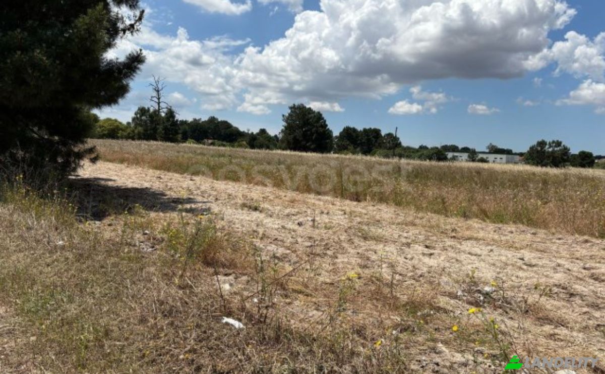 Land Lot for Sale R 1 de Janeiro, 2955 Pinhal Novo, Pinhal Novo, Palmela, Setubal, Portugal. Photo 13