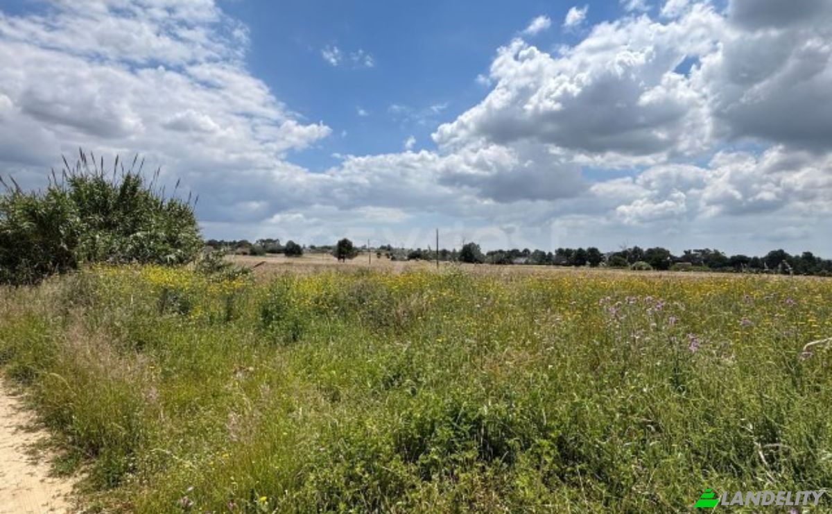 Land Lot for Sale R 1 de Janeiro, 2955 Pinhal Novo, Pinhal Novo, Palmela, Setubal, Portugal. Photo 4