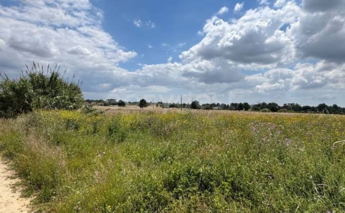 Land Lot for Sale R 1 de Janeiro, 2955 Pinhal Novo. Photo#4