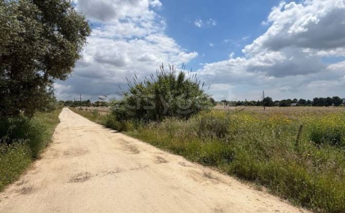 Land Lot for Sale R 1 de Janeiro, 2955 Pinhal Novo. Photo#5