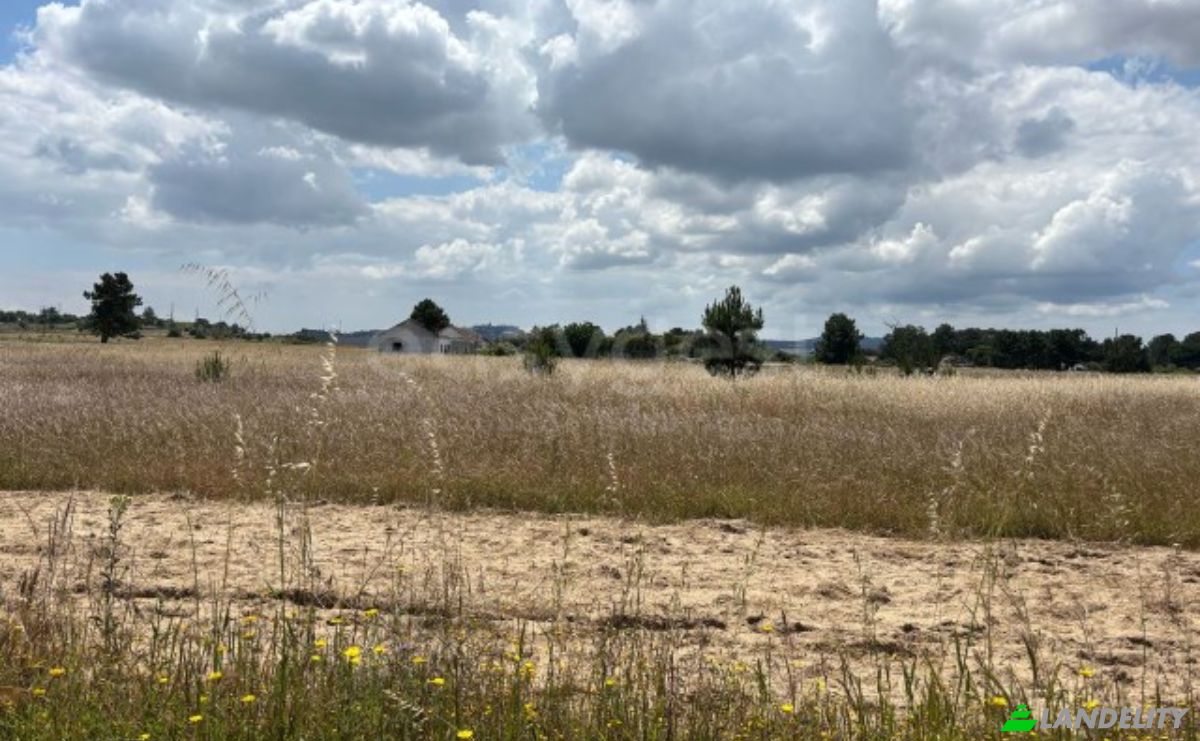 Land Lot for Sale R 1 de Janeiro, 2955 Pinhal Novo, Pinhal Novo, Palmela, Setubal, Portugal. Photo 8