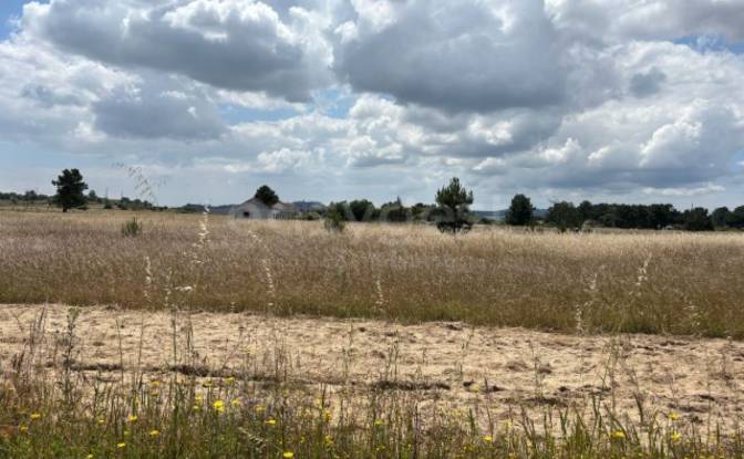 Land Lot for Sale R 1 de Janeiro, 2955 Pinhal Novo. Photo#8