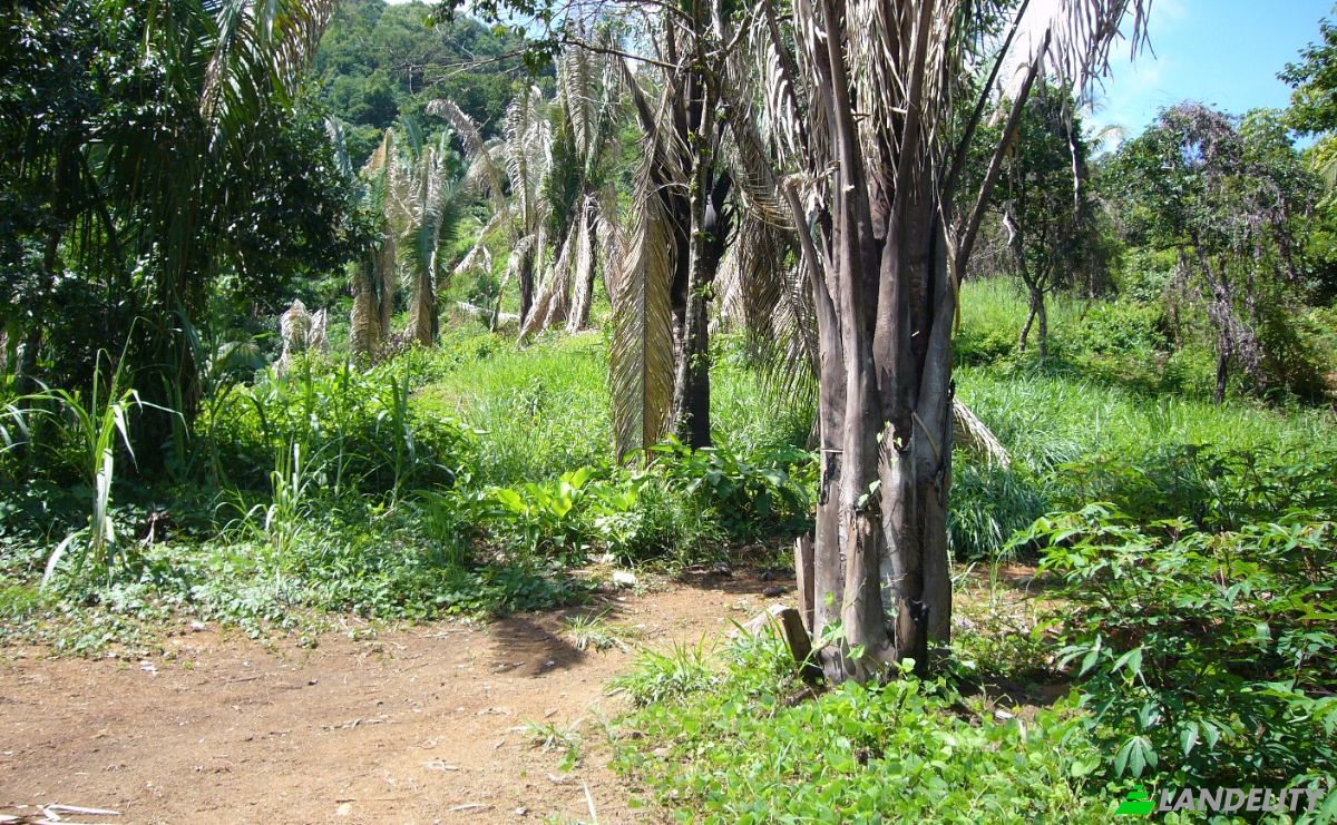 Investing/Development for Sale Puntarenas Province, Osa, Costa Rica, Playa Hermosa. Photo 12