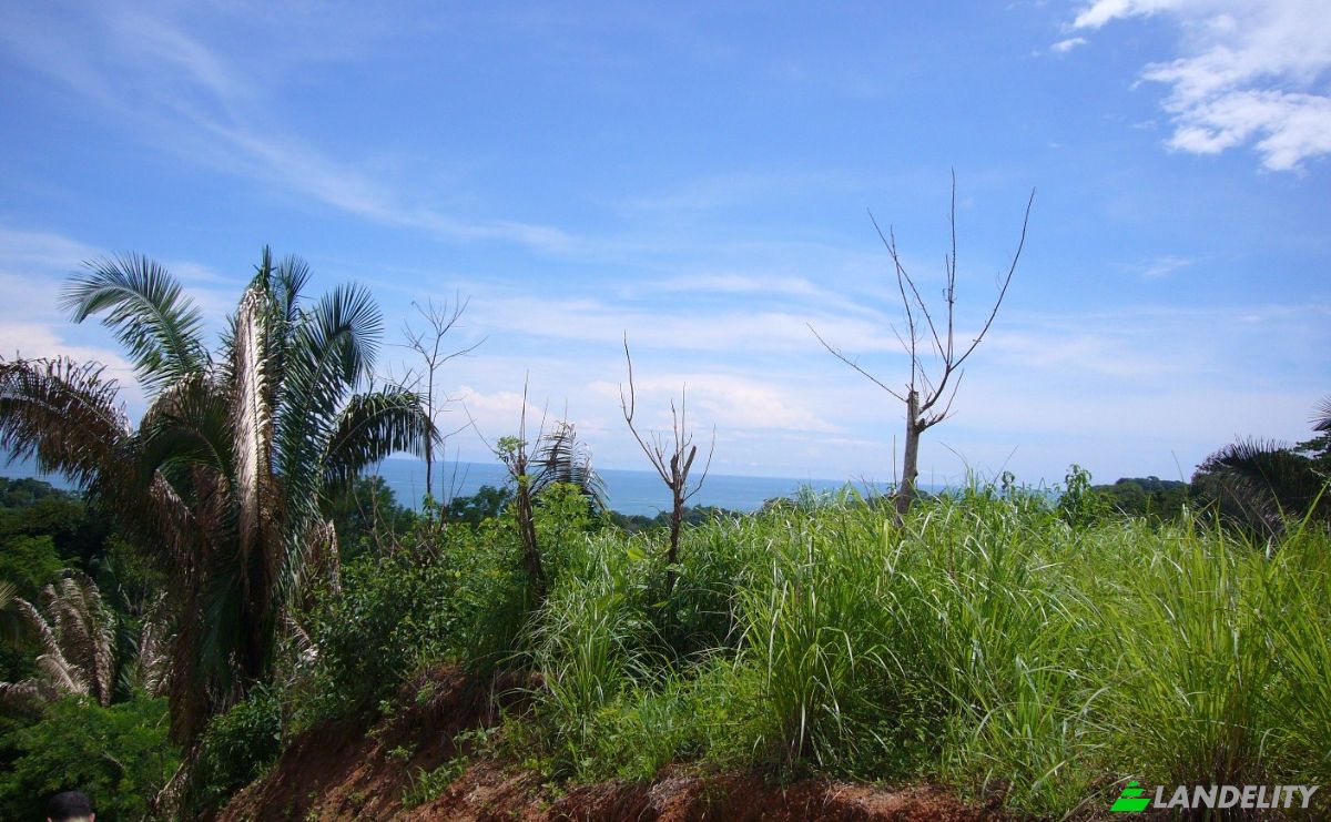 Investing/Development for Sale Puntarenas Province, Osa, Costa Rica, Playa Hermosa. Photo 13