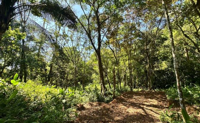 Investing/Development for Sale Puntarenas Province. Photo#2