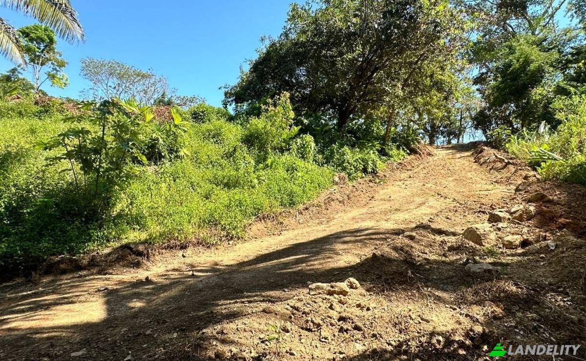 Investing/Development for Sale Puntarenas Province, Osa, Costa Rica, Playa Hermosa. Photo 3