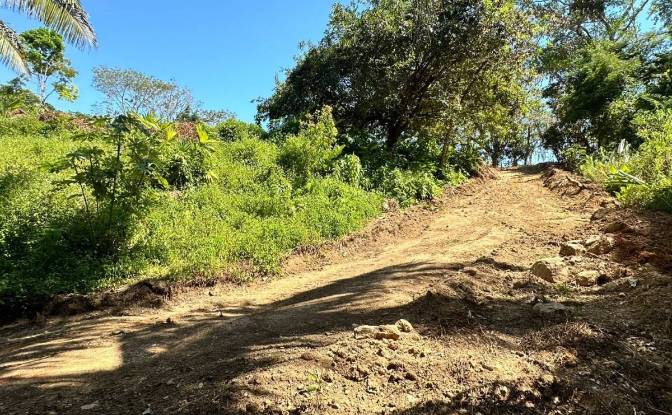 Investing/Development for Sale Puntarenas Province. Photo#3