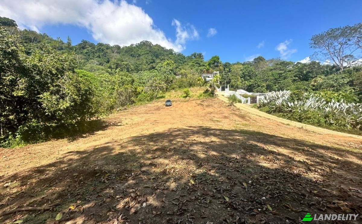 Investing/Development for Sale Puntarenas Province, Osa, Costa Rica, Playa Hermosa. Photo 4