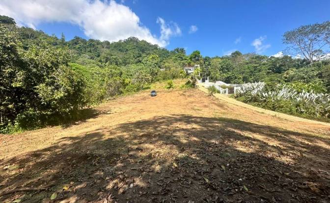 Investing/Development for Sale Puntarenas Province. Photo#4