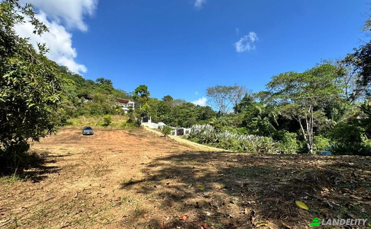 Investing/Development for Sale Puntarenas Province, Osa, Costa Rica, Playa Hermosa. Photo 5