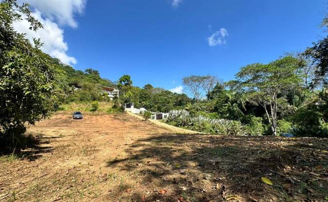 Investing/Development for Sale Puntarenas Province. Photo#5