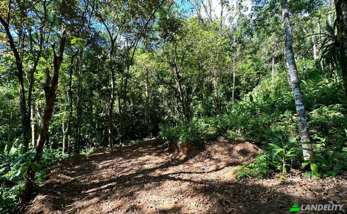 Investing/Development for Sale Puntarenas Province, Osa, Costa Rica, Playa Hermosa. Photo 6