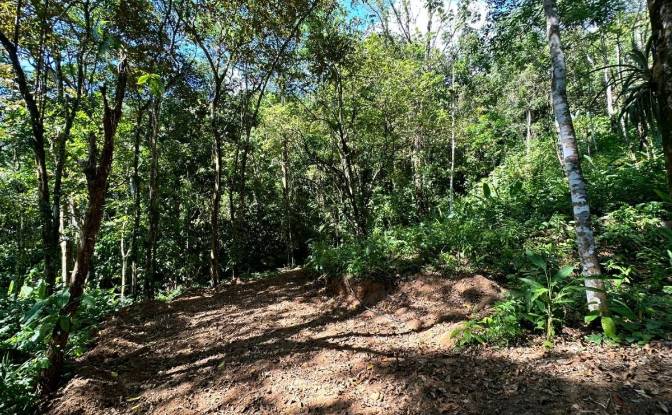 Investing/Development for Sale Puntarenas Province. Photo#6