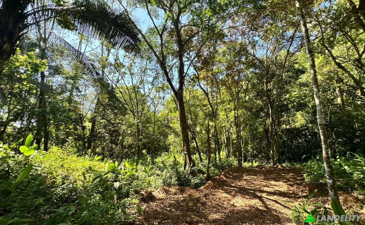 Investing/Development for Sale Puntarenas Province, Osa, Costa Rica, Playa Hermosa. Photo 7