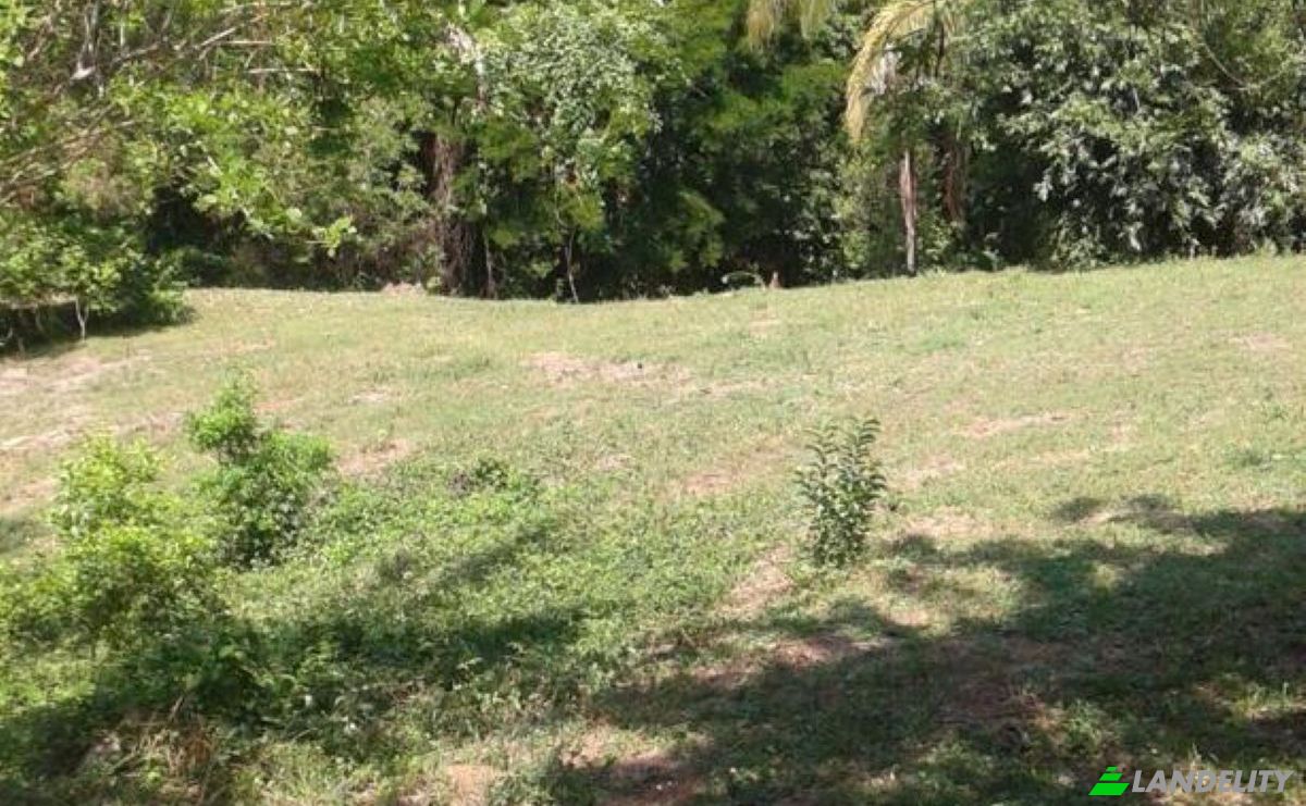 Investimento/Desenvolvimento à venda Savegre de Aguirre, Quepos, Puntarenas Province, Costa Rica, Playa Matapalo. foto 3