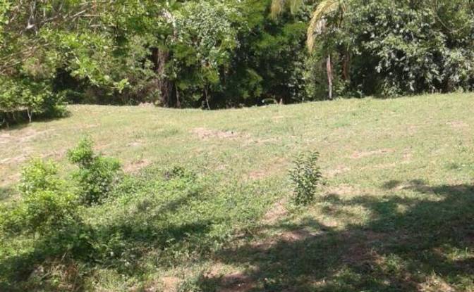 Investimento/Desenvolvimento à venda Savegre de. foto#3