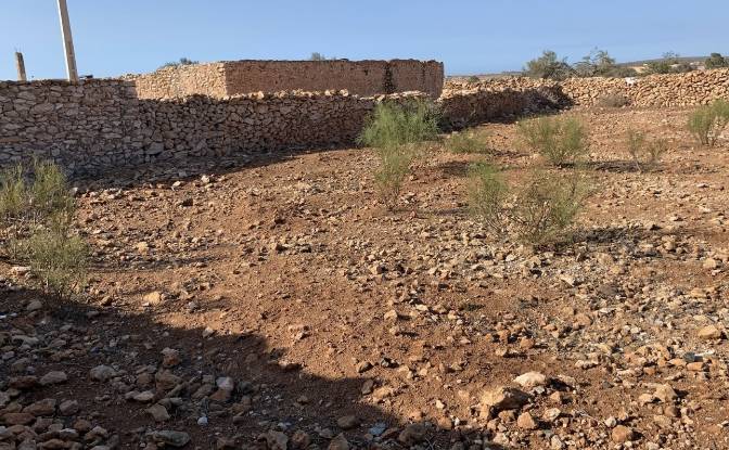 Land Lot for Sale Route Sans Nom, Abd el Harbili. Photo#10 Land Lot for Sale Route Sans Nom, Abd el Harbili. Photo#10