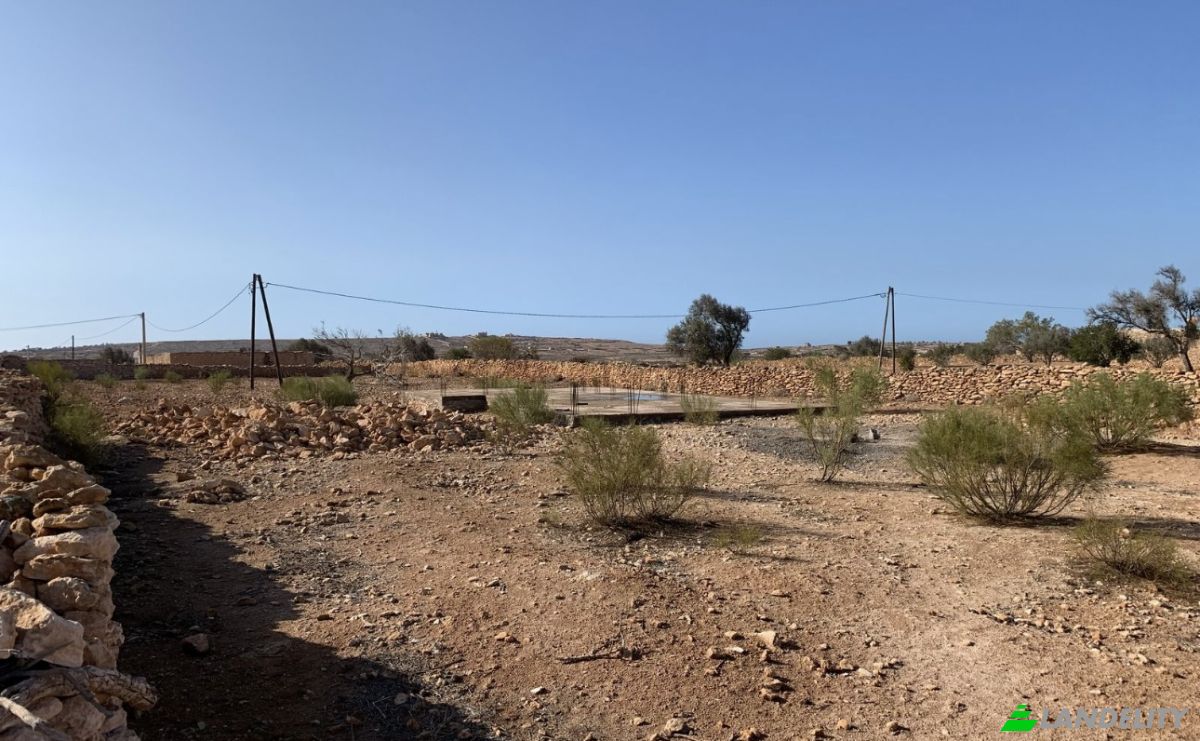 Land Lot for Sale Route Sans Nom, Abd el Harbili, Essaouira, Marrakesh-Safi, Morocco. Photo 6
