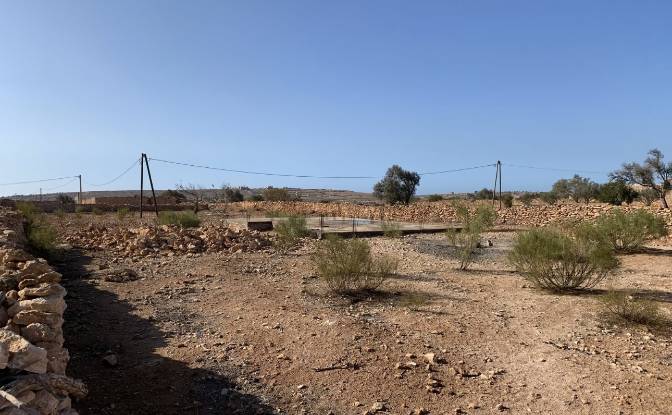 Land Lot for Sale Route Sans Nom, Abd el Harbili. Photo#6 Land Lot for Sale Route Sans Nom, Abd el Harbili. Photo#6