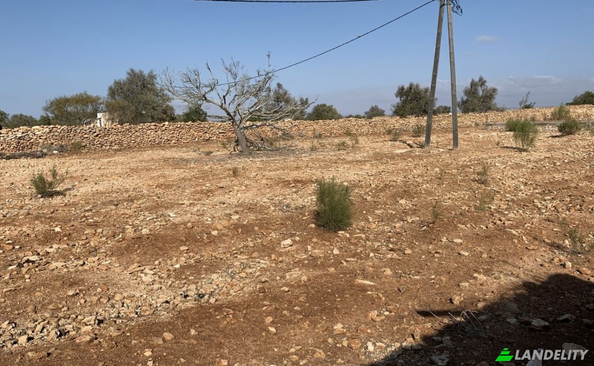 Land Lot for Sale Route Sans Nom, Abd el Harbili, Essaouira, Marrakesh-Safi, Morocco. Photo 8