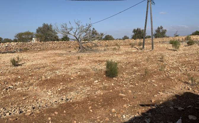 Land Lot for Sale Route Sans Nom, Abd el Harbili. Photo#8 Land Lot for Sale Route Sans Nom, Abd el Harbili. Photo#8