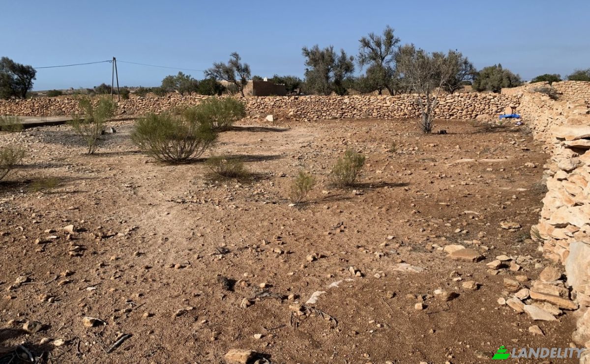 Land Lot for Sale Route Sans Nom, Abd el Harbili, Essaouira, Marrakesh-Safi, Morocco. Photo 9