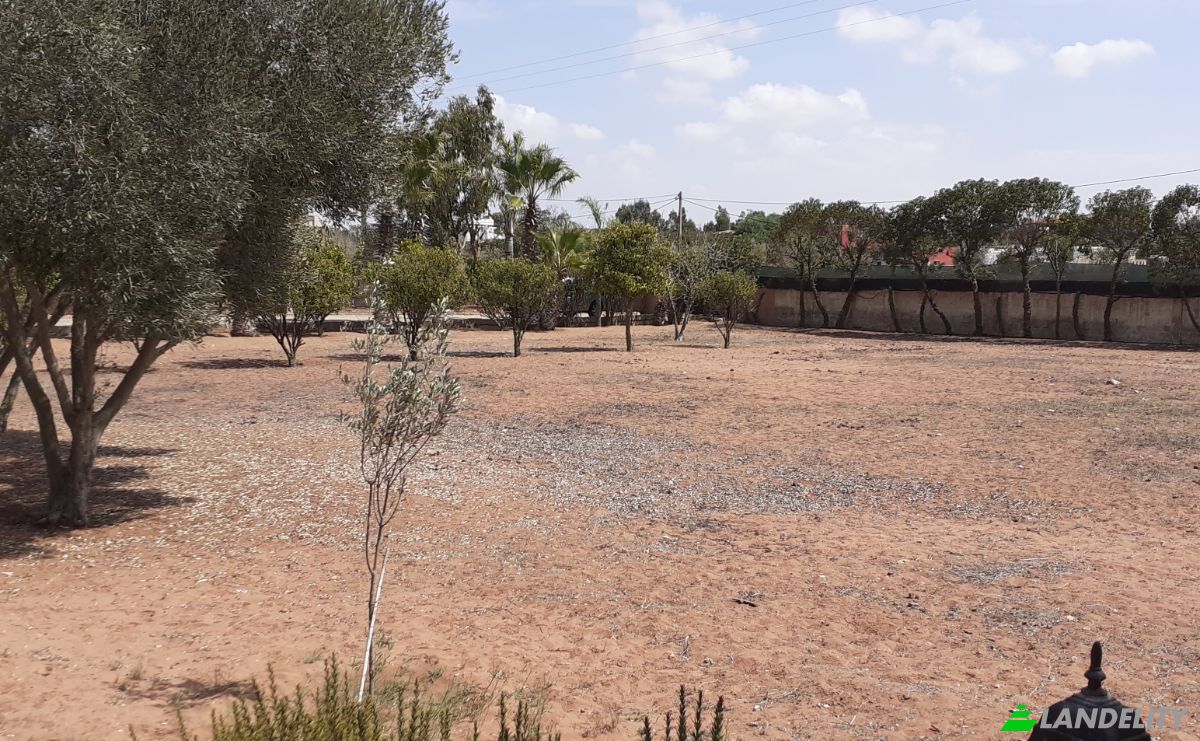 Farm/Ranch for Sale Route sans nom, Sidi Rahal, Berrechid Province, Casablanca-Settat, Morocco. Photo 2