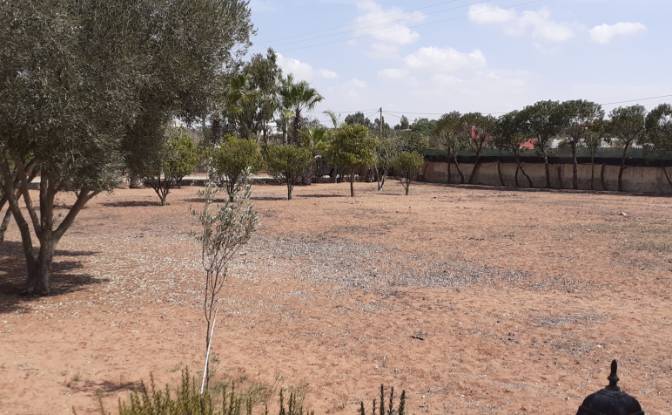 Farm/Ranch for Sale Route sans nom, Sidi Rahal. Photo#2 Farm/Ranch for Sale Route sans nom, Sidi Rahal. Photo#2