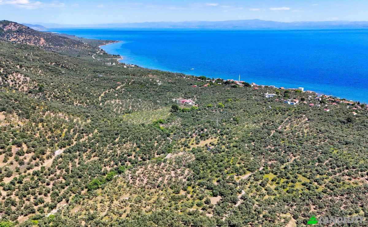 Investing/Development for Sale Beyaz Yalilar Caddesi, No:, 17862 Ahmetce Ayvacik Canakkale, Ayvacik Canakkale, Ayvacik, Canakkale, Turkiye. Photo 1