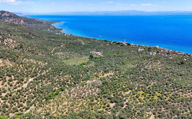 Investing/Development for Sale Beyaz Yalilar. Photo#1