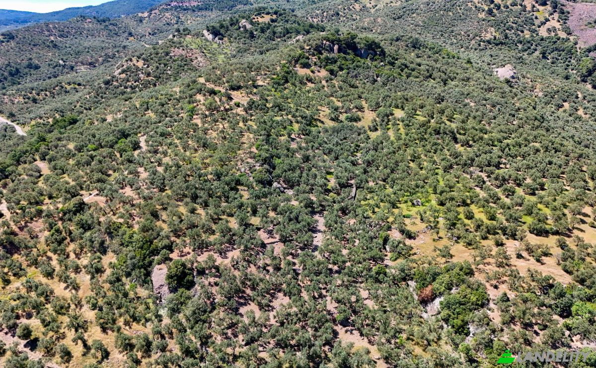 Investing/Development for Sale Beyaz Yalilar Caddesi, No:, 17862 Ahmetce Ayvacik Canakkale, Ayvacik Canakkale, Ayvacik, Canakkale, Turkiye. Photo 14