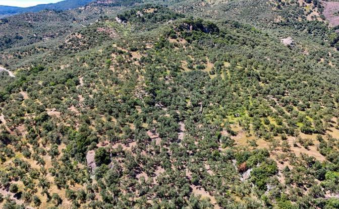Investing/Development for Sale Beyaz Yalilar. Photo#14