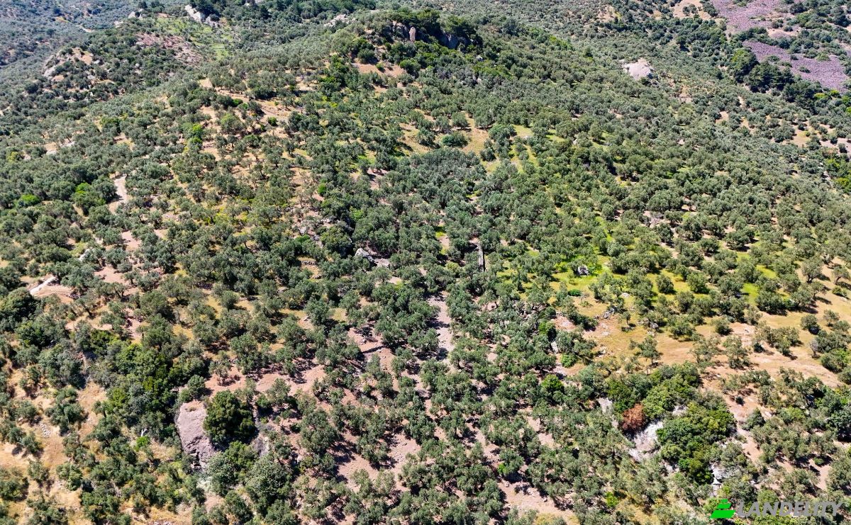 Investing/Development for Sale Beyaz Yalilar Caddesi, No:, 17862 Ahmetce Ayvacik Canakkale, Ayvacik Canakkale, Ayvacik, Canakkale, Turkiye. Photo 18