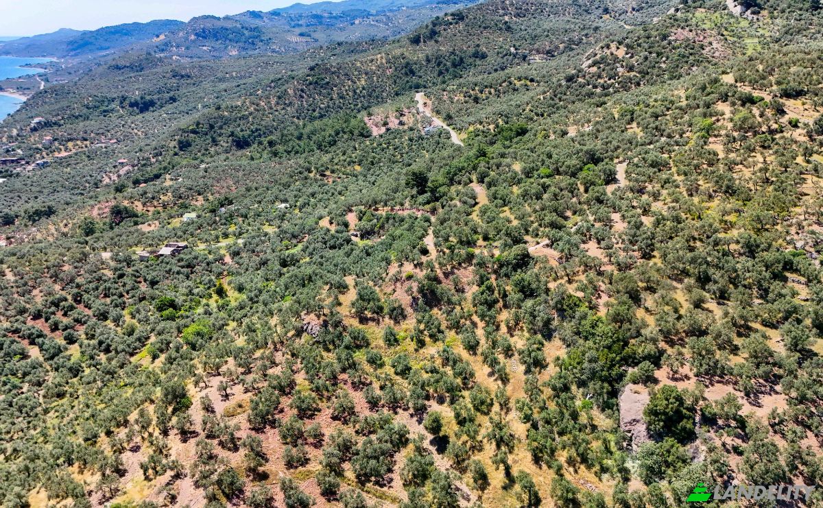Investing/Development for Sale Beyaz Yalilar Caddesi, No:, 17862 Ahmetce Ayvacik Canakkale, Ayvacik Canakkale, Ayvacik, Canakkale, Turkiye. Photo 19