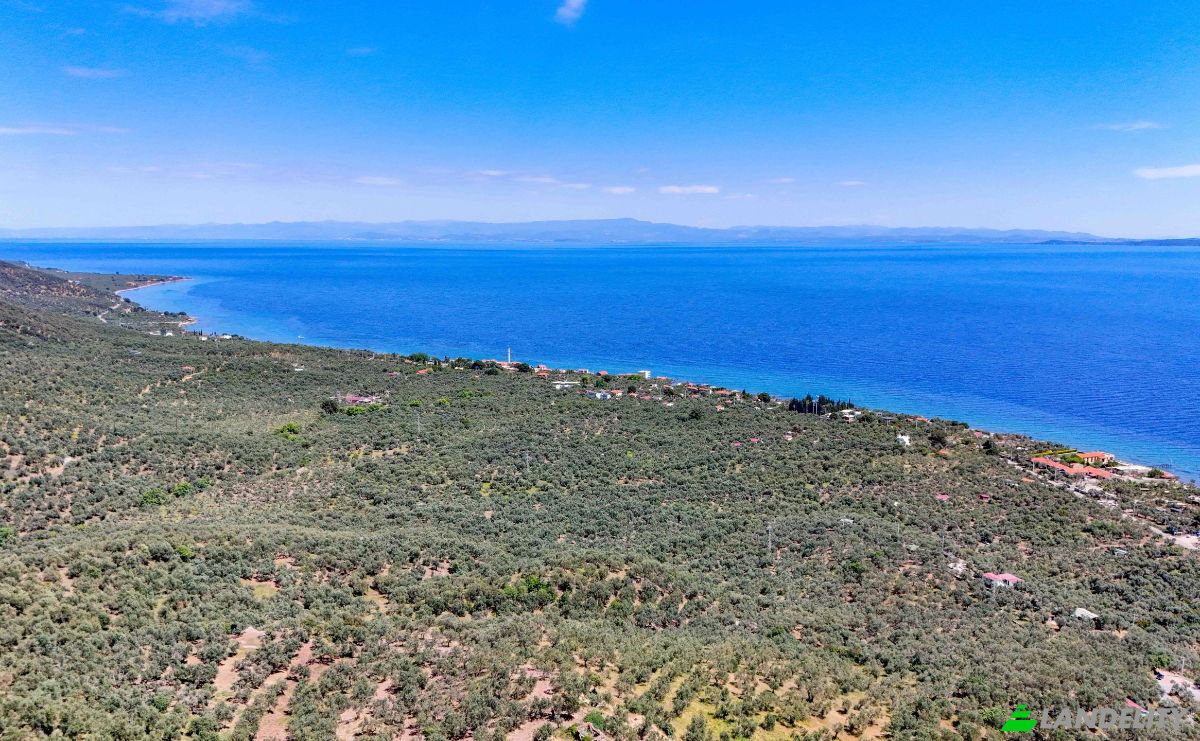 Investing/Development for Sale Beyaz Yalilar Caddesi, No:, 17862 Ahmetce Ayvacik Canakkale, Ayvacik Canakkale, Ayvacik, Canakkale, Turkiye. Photo 26