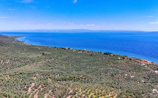 Investing/Development for Sale Beyaz Yalilar. Photo#26