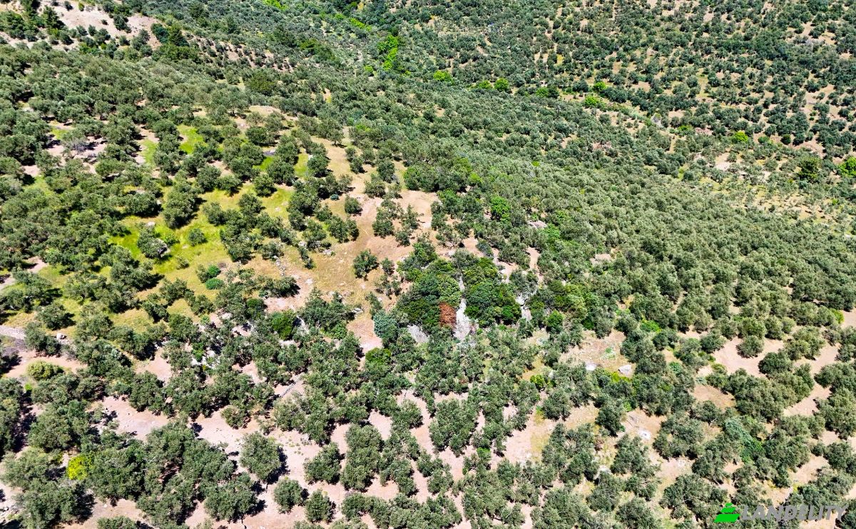 Investing/Development for Sale Beyaz Yalilar Caddesi, No:, 17862 Ahmetce Ayvacik Canakkale, Ayvacik Canakkale, Ayvacik, Canakkale, Turkiye. Photo 3