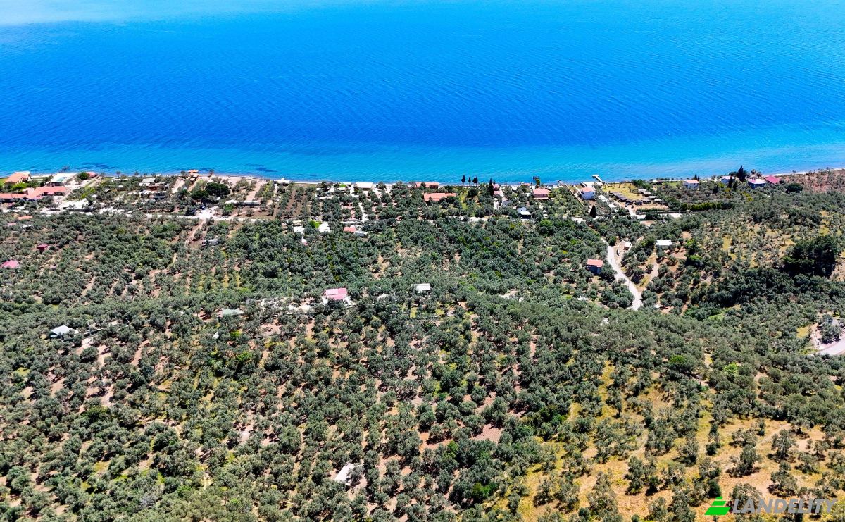 Investing/Development for Sale Beyaz Yalilar Caddesi, No:, 17862 Ahmetce Ayvacik Canakkale, Ayvacik Canakkale, Ayvacik, Canakkale, Turkiye. Photo 5