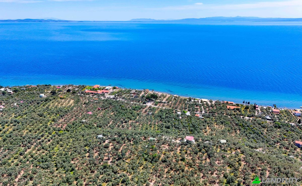 Investing/Development for Sale Beyaz Yalilar Caddesi, No:, 17862 Ahmetce Ayvacik Canakkale, Ayvacik Canakkale, Ayvacik, Canakkale, Turkiye. Photo 6