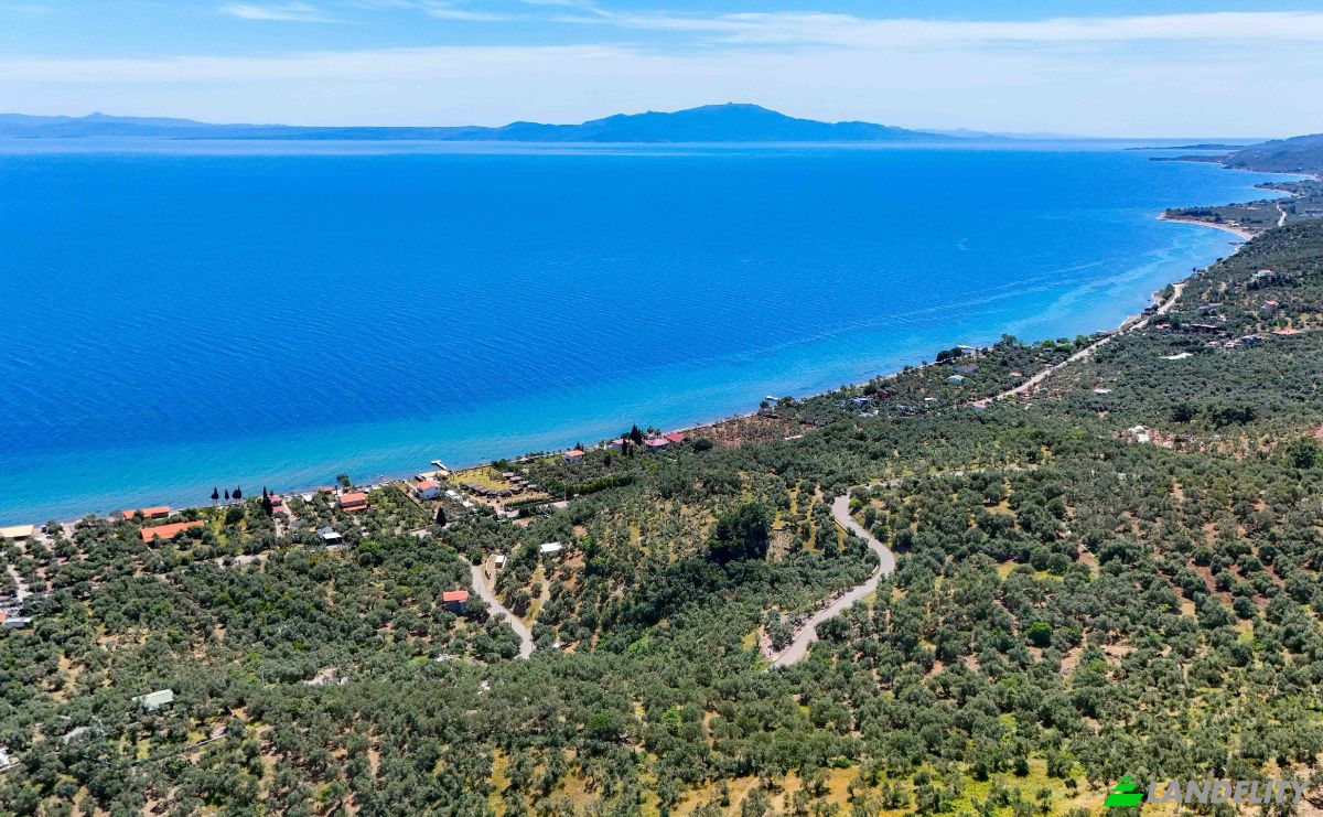 Investing/Development for Sale Beyaz Yalilar Caddesi, No:, 17862 Ahmetce Ayvacik Canakkale, Ayvacik Canakkale, Ayvacik, Canakkale, Turkiye. Photo 7