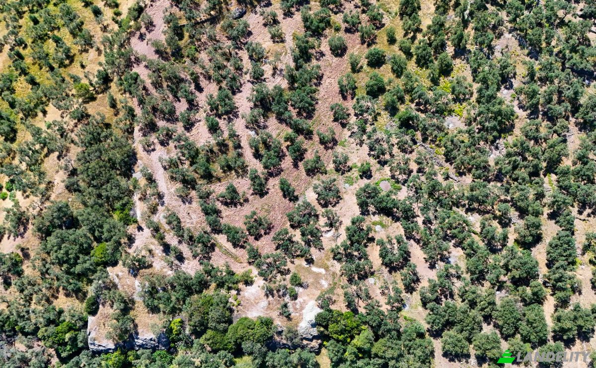 Investing/Development for Sale Beyaz Yalilar Caddesi, No:, 17862 Ahmetce Ayvacik Canakkale, Ayvacik Canakkale, Ayvacik, Canakkale, Turkiye. Photo 8