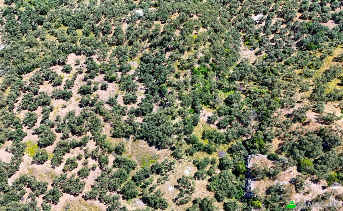 Investing/Development for Sale Beyaz Yalilar Caddesi, No:, 17862 Ahmetce Ayvacik Canakkale, Ayvacik Canakkale, Ayvacik, Canakkale, Turkiye. Photo 9