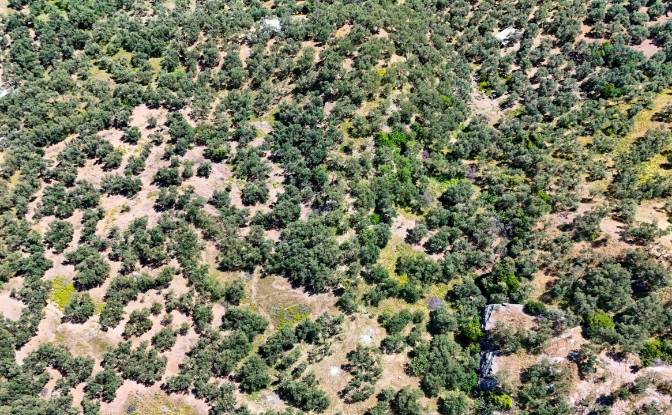 Investing/Development for Sale Beyaz Yalilar. Photo#9