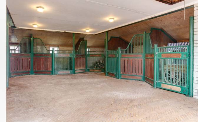 Farm/Ranch for Sale Bloemendaalseweg 177. Photo#10