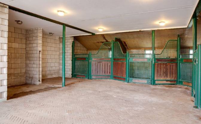 Farm/Ranch for Sale Bloemendaalseweg 177. Photo#11