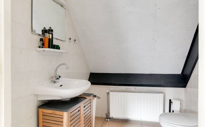 Farm/Ranch for Sale Bloemendaalseweg 177. Photo#14