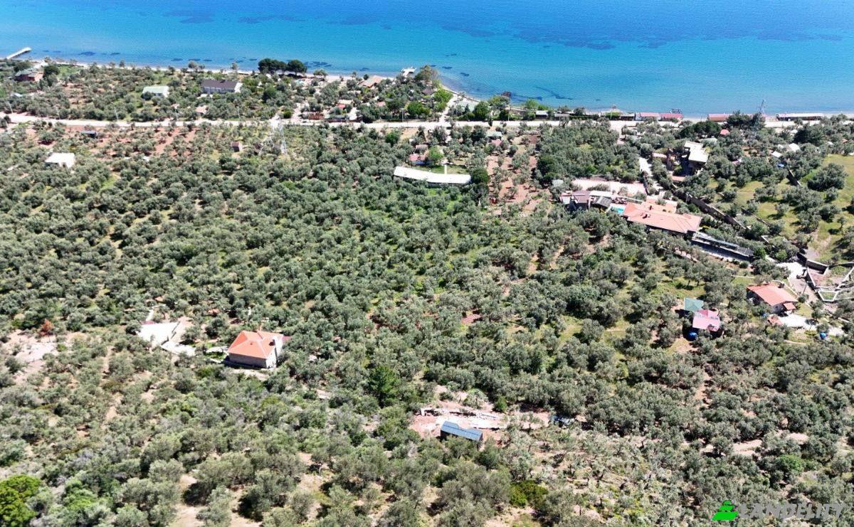 Investing/Development for Sale Beyaz Yalilar Caddesi, No:, 17862 Ahmetce Ayvacik Canakkale, Ayvacik Canakkale, Ayvacik, Canakkale, Turkiye. Photo 21